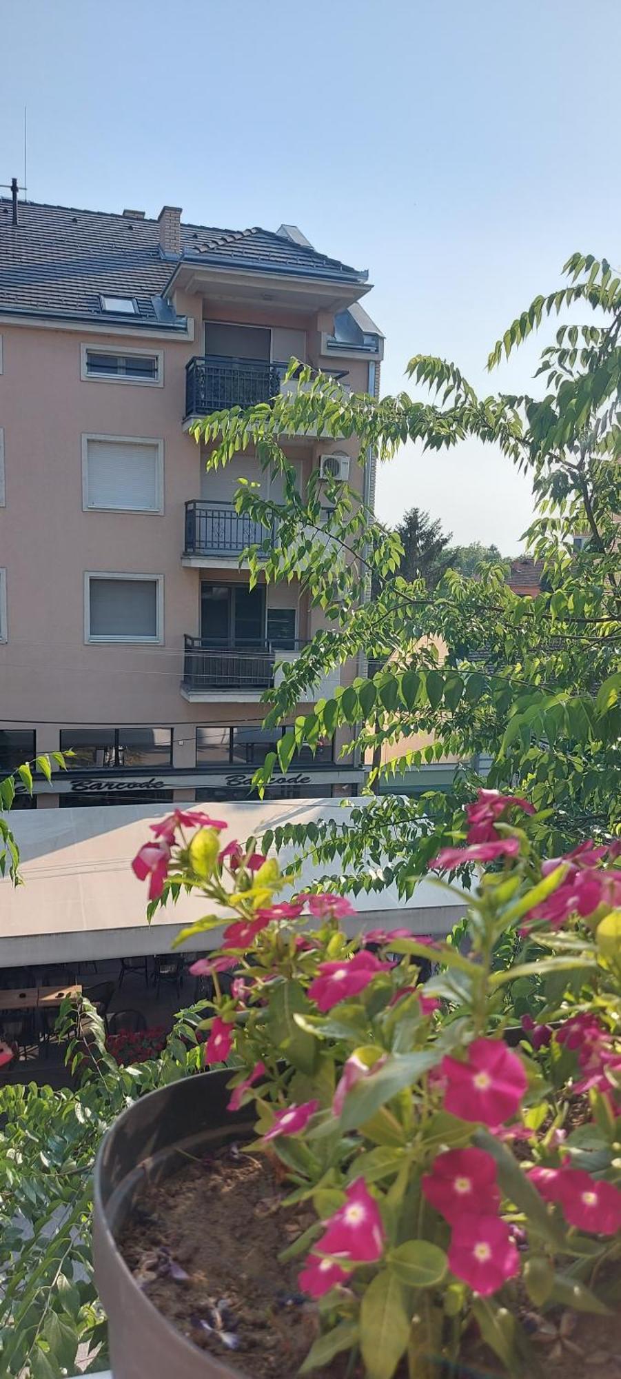 Teanta Apartman Sombor Exteriér fotografie